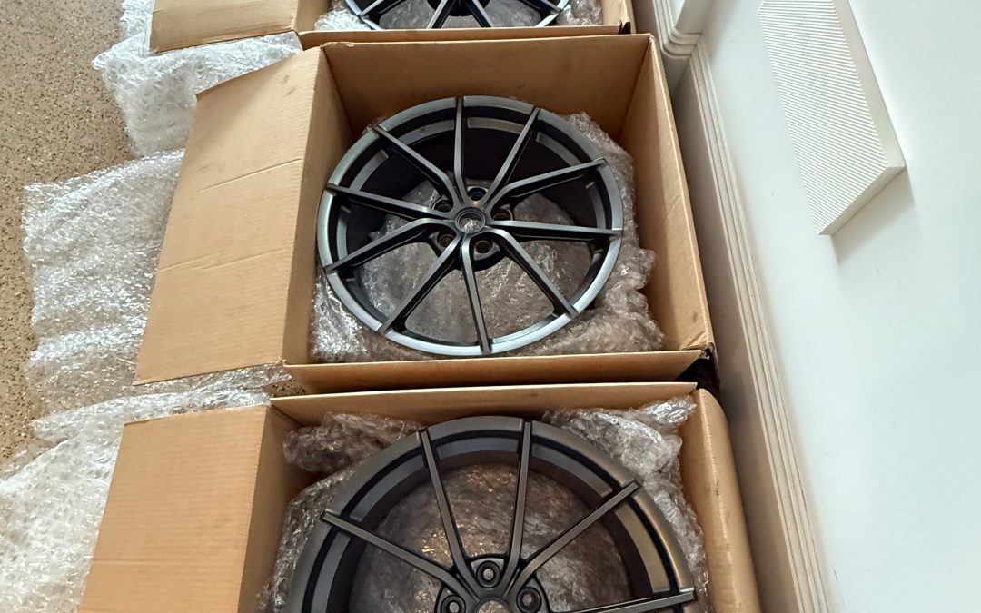 Pista Wheels – OEM 10-Spoke Matte Grigio (Gray)